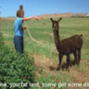 Meet your Posher, Jewell